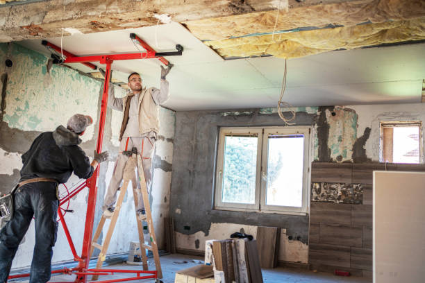 Best Cellulose Insulation  in Rockdale, TX