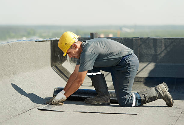Best Insulation for Commercial Buildings  in Rockdale, TX