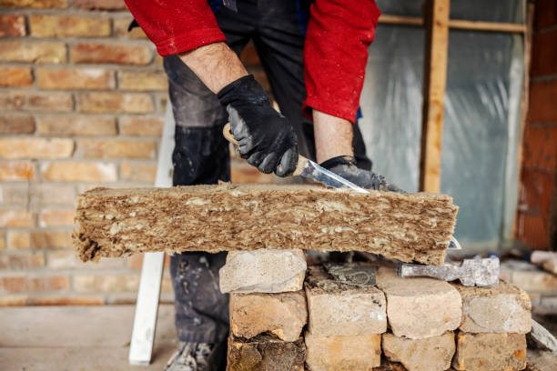 Best Local Insulation Services  in Rockdale, TX