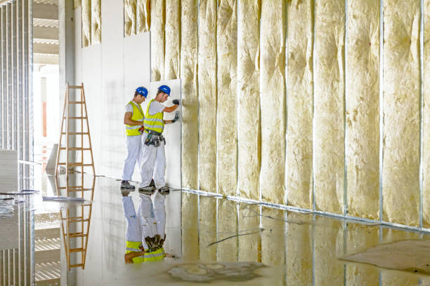 Best Energy-efficient Insulation  in Rockdale, TX